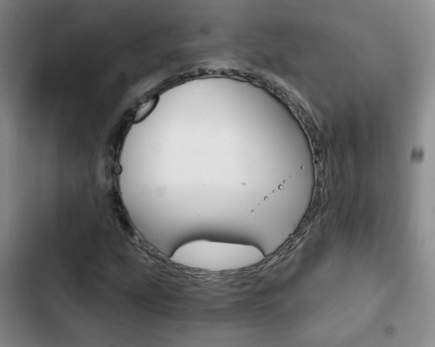 X0000102821207200808181017