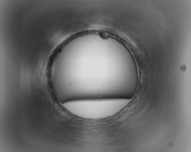 X0000102821208200808181017