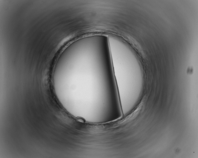 X0000102821210200808181017