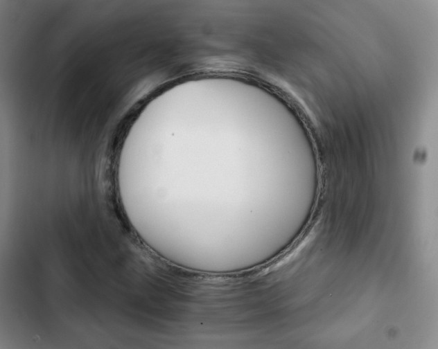 X0000102821211200808181017