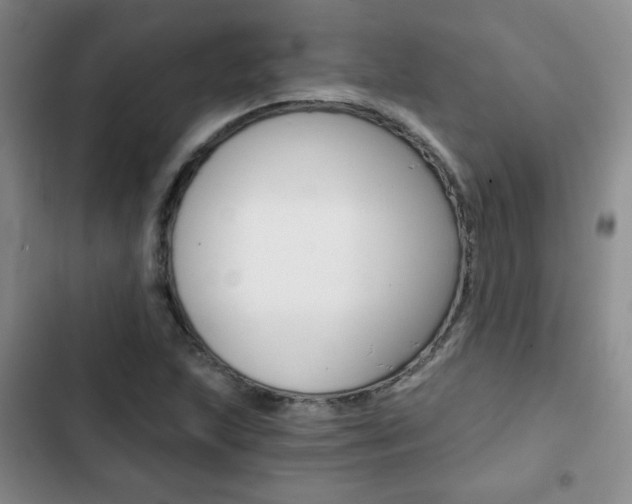 X0000102821215200808181017