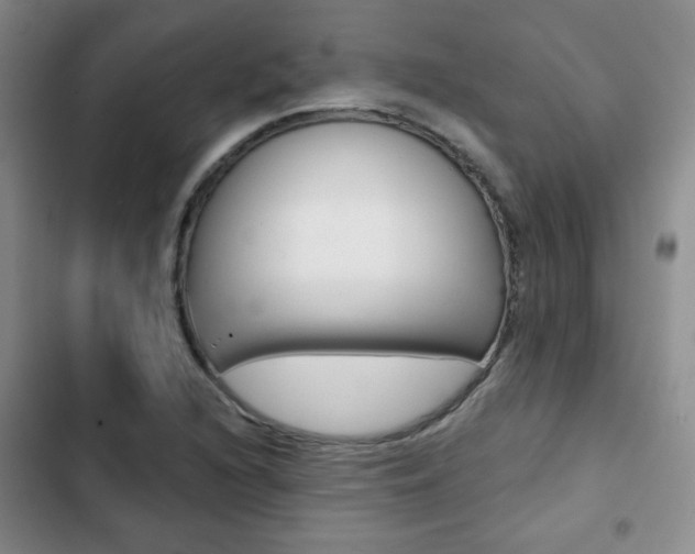X0000102821216200808181017