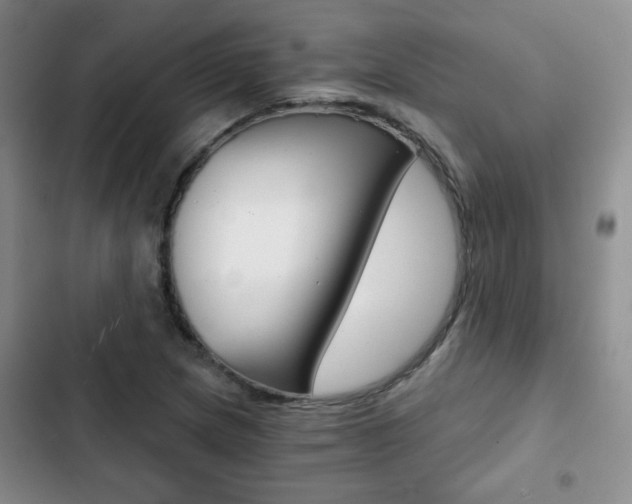 X0000102821217200808181017
