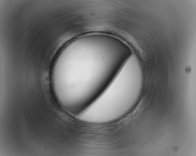 X0000102821218200808181017