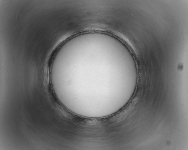 X0000102821219200808181017