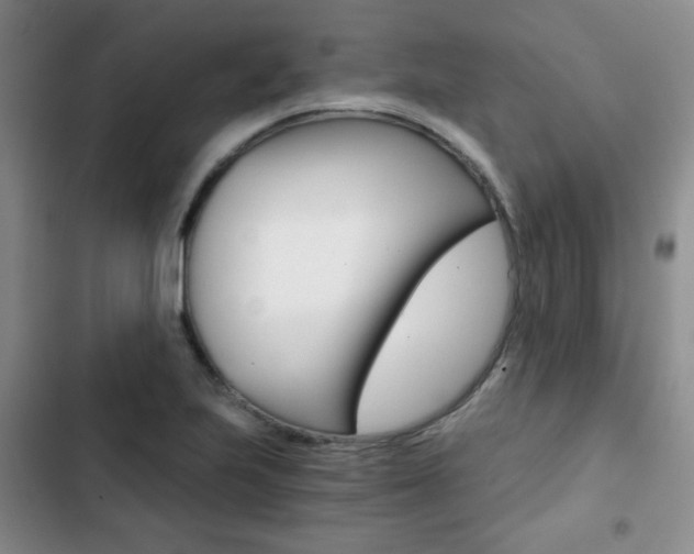 X0000102821223200808181017