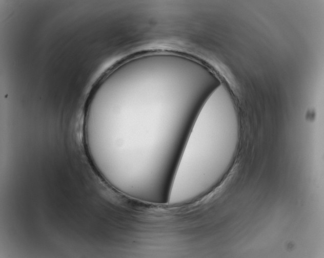 X0000102821224200808181017