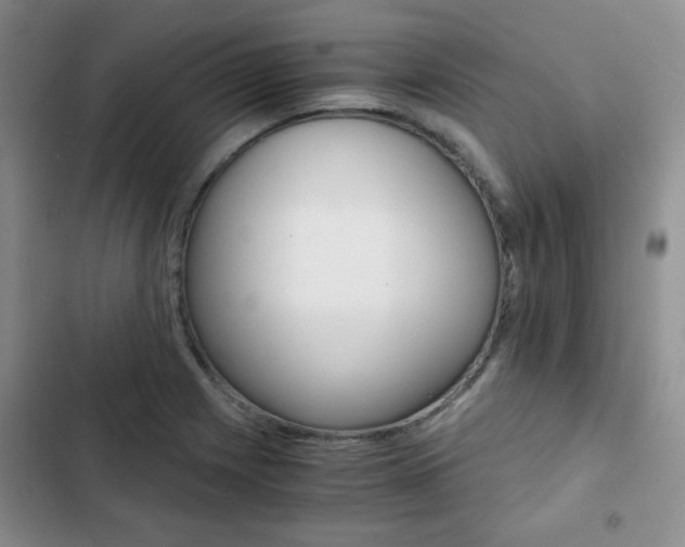 X0000102821225200808181017