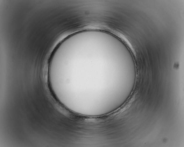X0000102821227200808181017