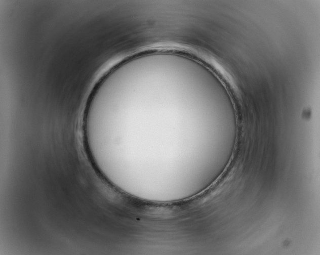 X0000102821229200808181017