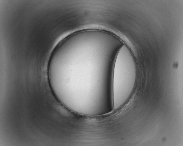 X0000102821230200808181017