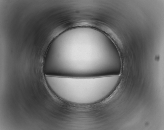 X0000102821233200808181017