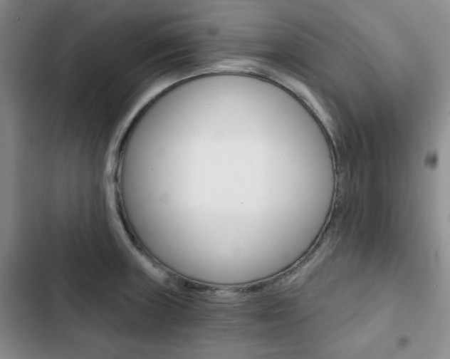 X0000102821235200808181017