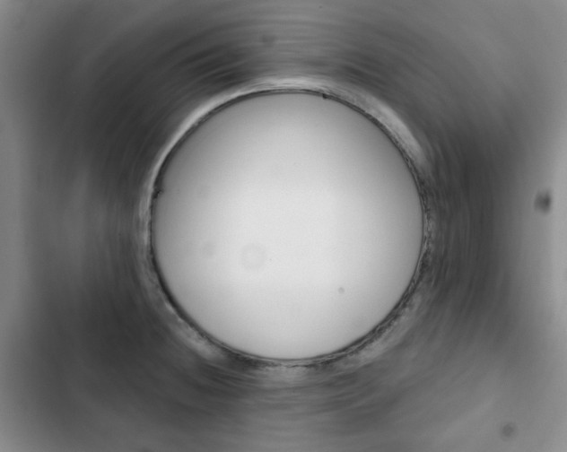 X0000102821236200808181017