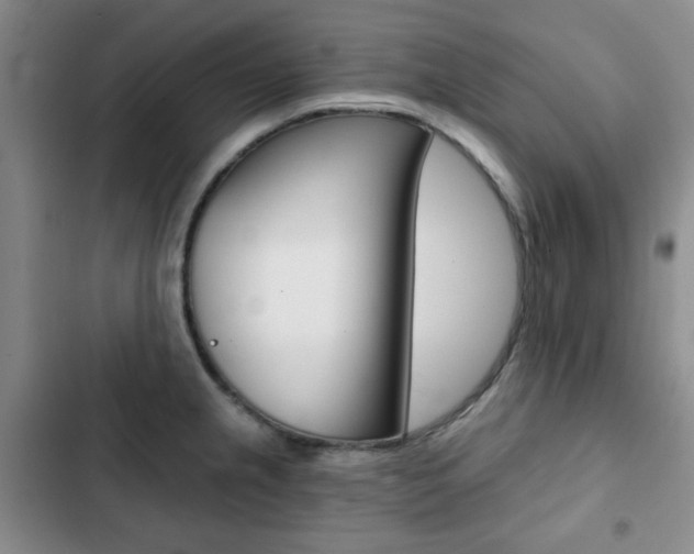 X0000102821237200808181017