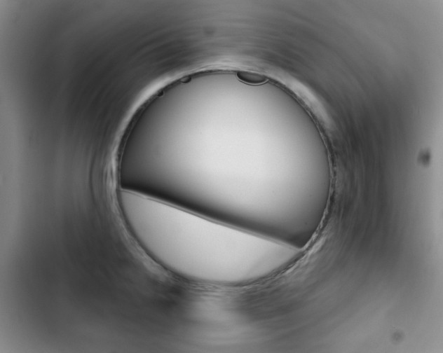 X0000102821238200808181017