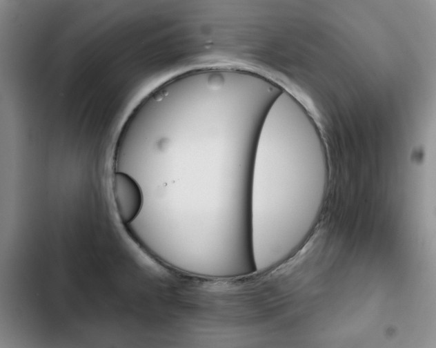 X0000102821239200808181017