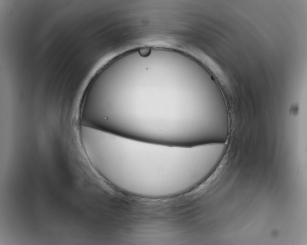 X0000102821240200808181017