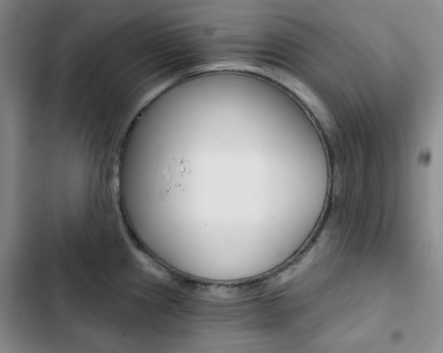 X0000102821241200808181017