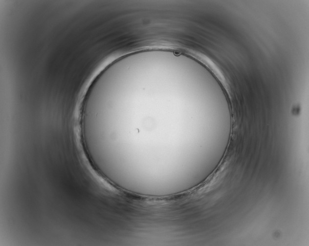 X0000102821243200808181017