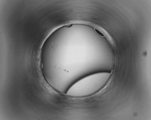 X0000102821244200808181017