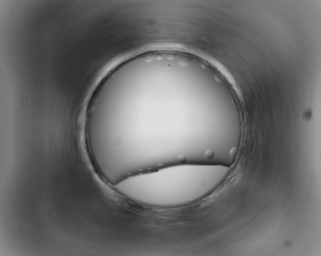 X0000102821245200808181017