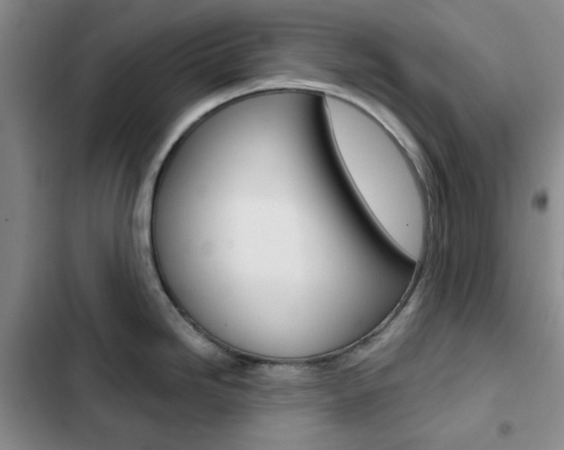 X0000102821246200808181017