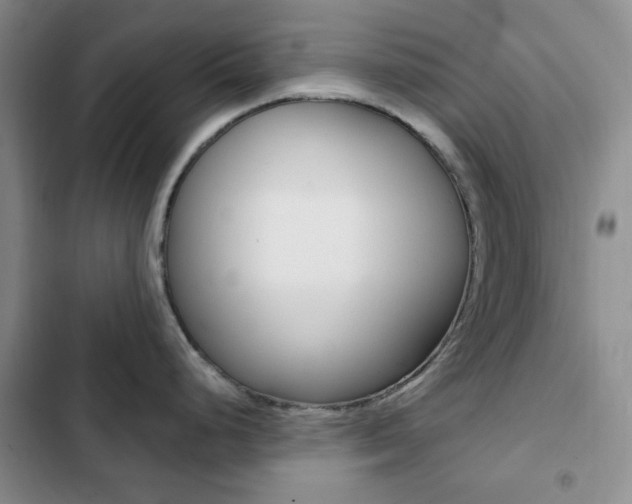X0000102821248200808181017