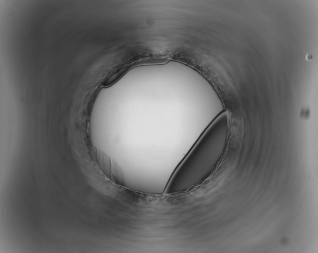 X0000102821249200808181017