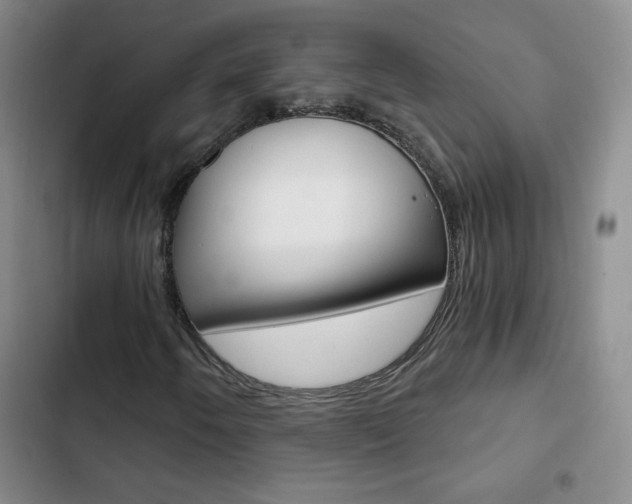 X0000102821250200808181017
