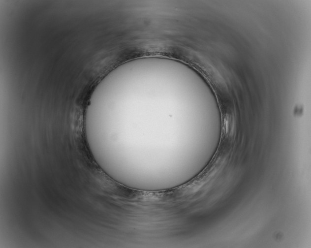 X0000102821251200808181017