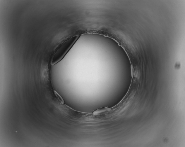 X0000102821252200808181017