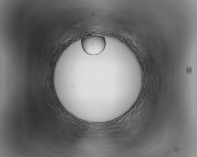 X0000102821253200808181017
