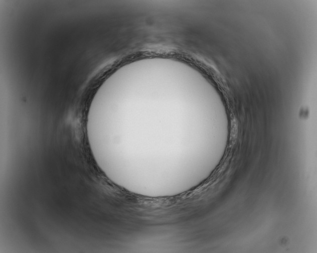 X0000102821254200808181017