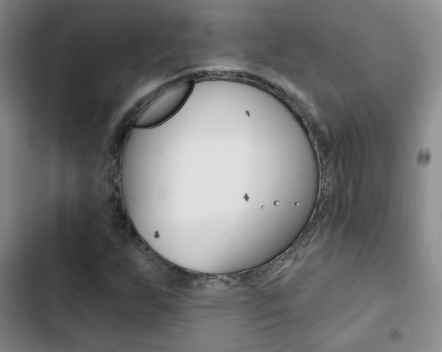 X0000102821255200808181016