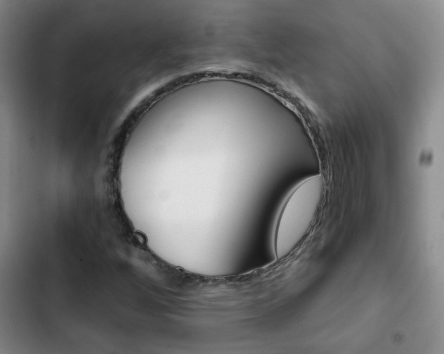 X0000102821256200808181016
