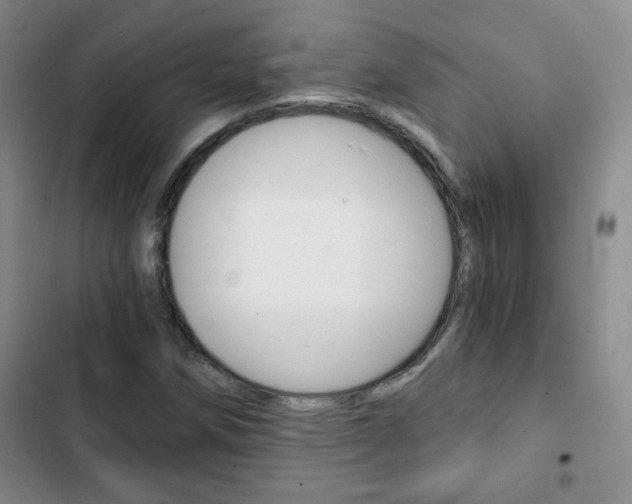 X0000102821258200808181016