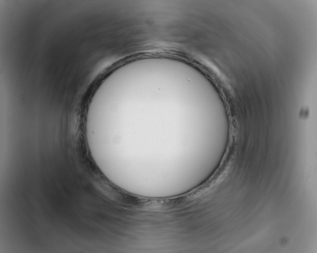 X0000102821259200808181016