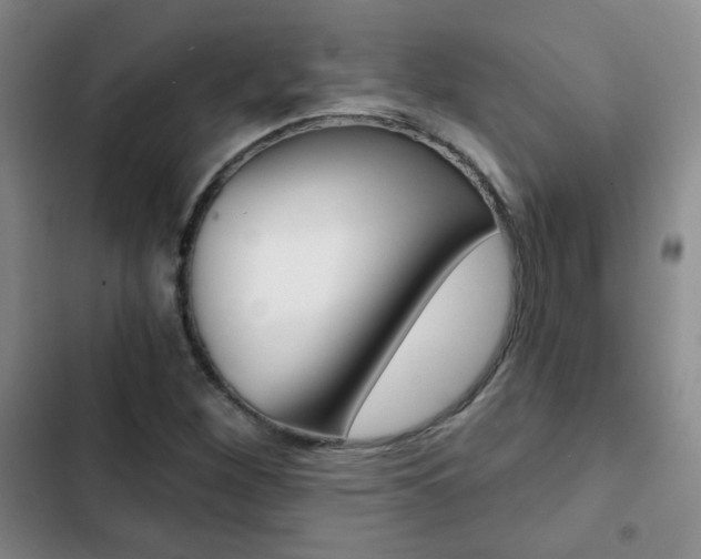 X0000102821260200808181016