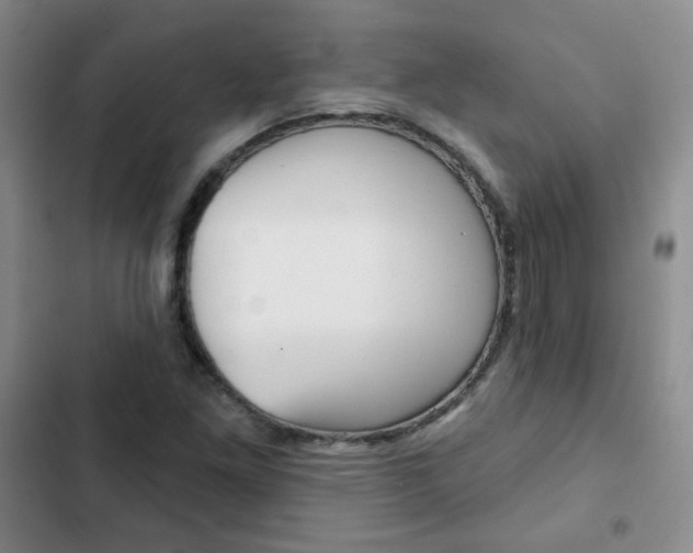 X0000102821261200808181016
