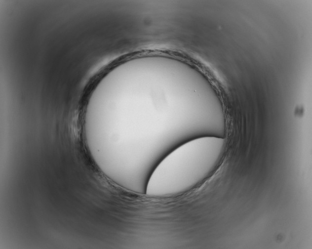 X0000102821262200808181016