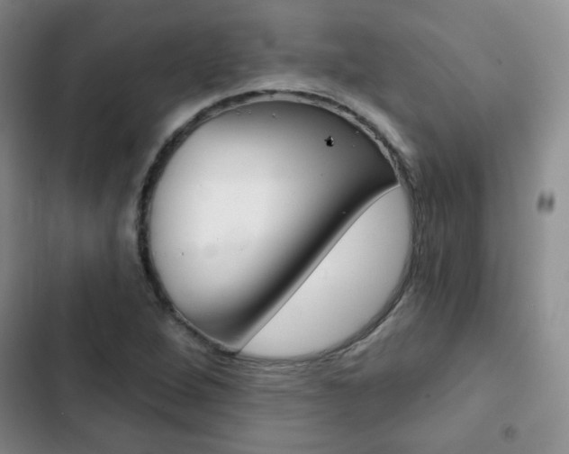 X0000102821264200808181016