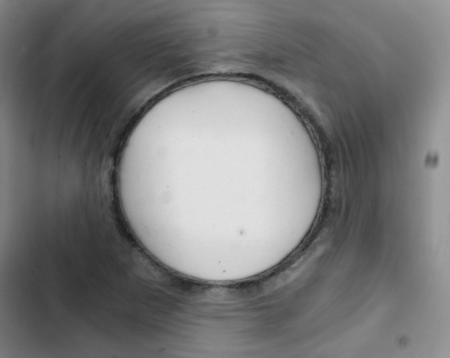X0000102821265200808181016