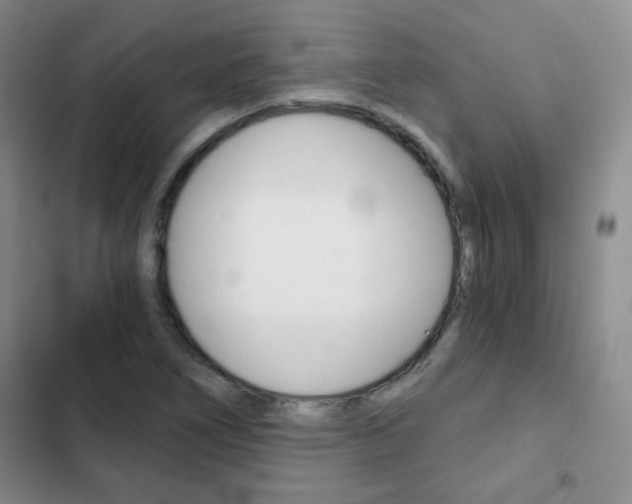 X0000102821266200808181016