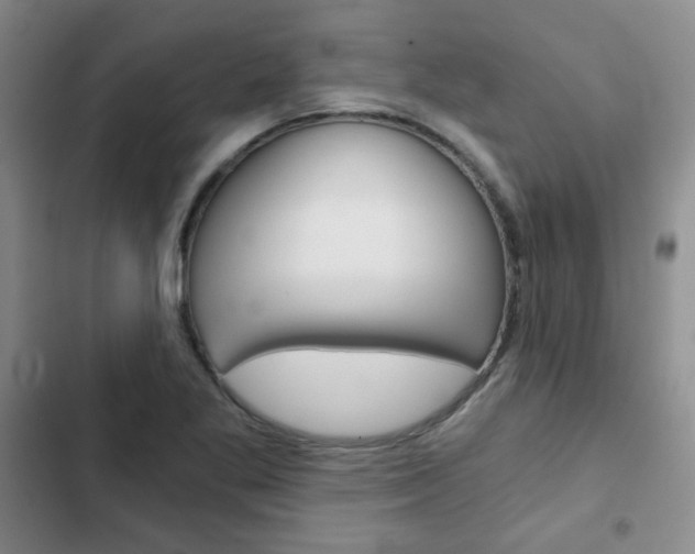 X0000102821269200808181016