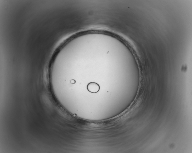 X0000102821271200808181016