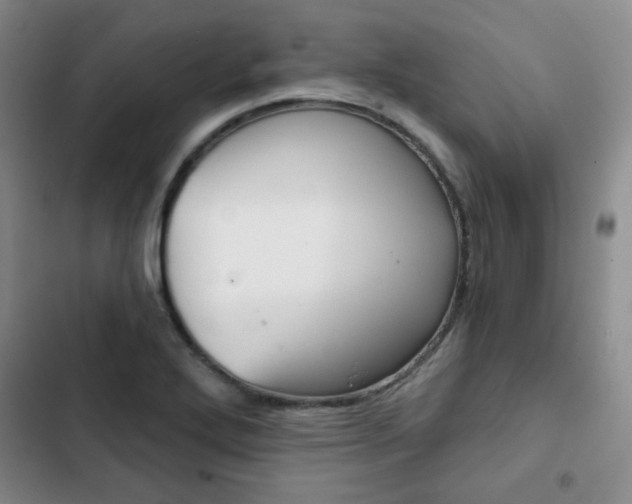 X0000102821272200808181016