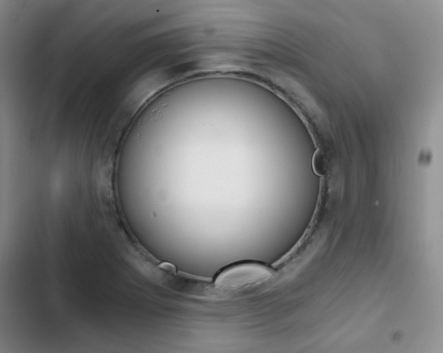 X0000102821273200808181016