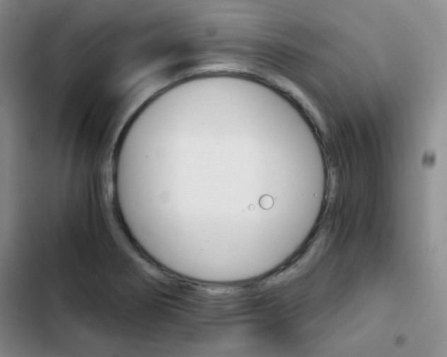 X0000102821274200808181016