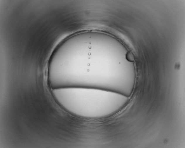 X0000102821275200808181016